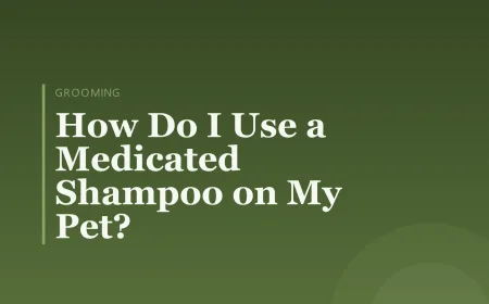 How Do I Use a Medicated Shampoo on My Pet?