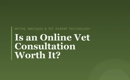 Is an Online Vet Consultation Worth It?