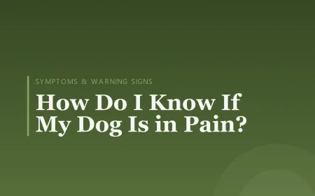 How Do I Know If My Dog Is in Pain?