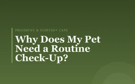 Why Does My Pet Need a Routine Check-Up?