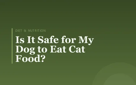 Is It Safe for My Dog to Eat Cat Food?