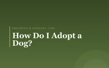 How Do I Adopt a Dog?