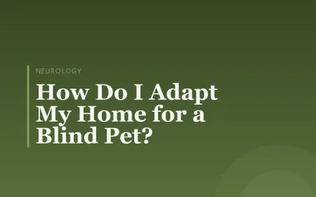 How Do I Adapt My Home for a Blind Pet?