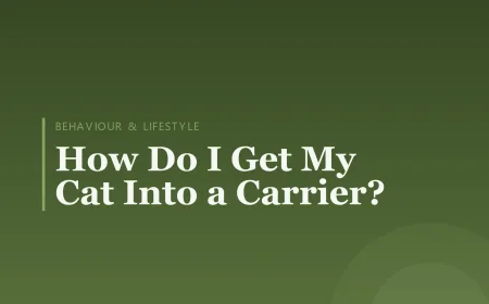 How Do I Get My Cat Into a Carrier?