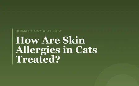 How Are Skin Allergies in Cats Treated?