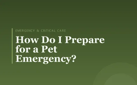 How Do I Prepare for a Pet Emergency?