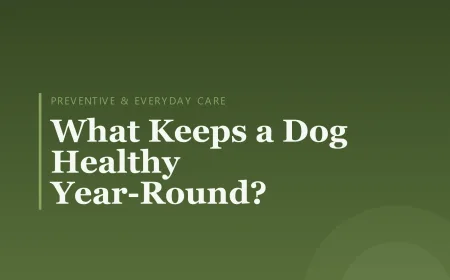 What Keeps a Dog Healthy Year-Round?