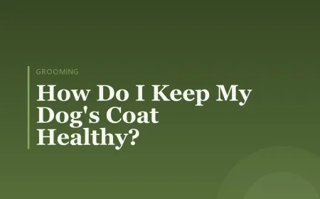 How Do I Keep My Dog's Coat Healthy?
