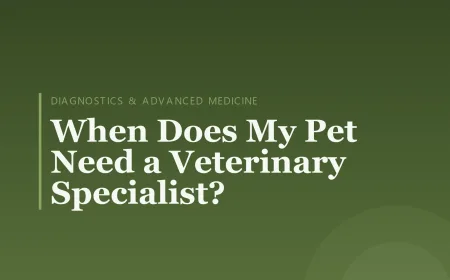 When Does My Pet Need a Veterinary Specialist?