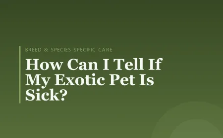 How Can I Tell If My Exotic Pet Is Sick?
