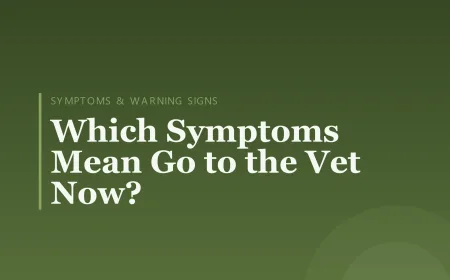 Which Symptoms Mean Go to the Vet Now?
