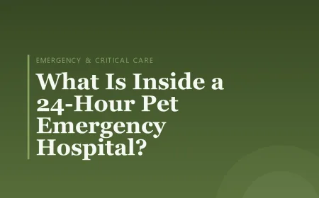 What Is Inside a 24-Hour Pet Emergency Hospital?
