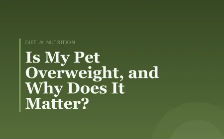 Is My Pet Overweight, and Why Does It Matter?