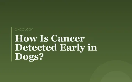 How Is Cancer Detected Early in Dogs?