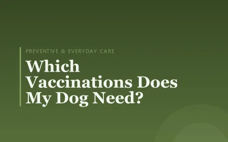 Which Vaccinations Does My Dog Need?