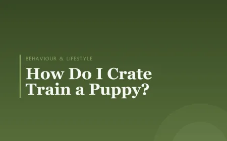 How Do I Crate Train a Puppy?