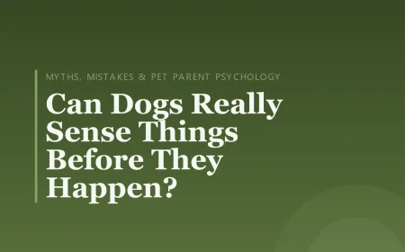 Can Dogs Really Sense Things Before They Happen?