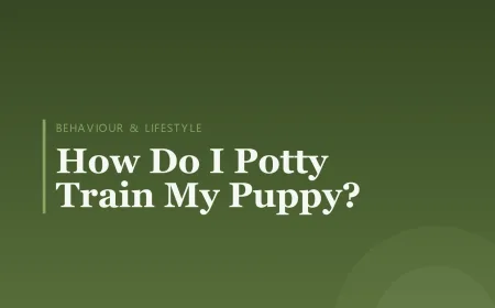 How Do I Potty Train My Puppy?