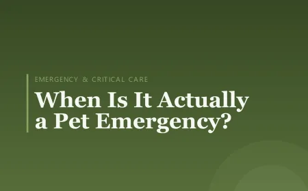When Is It Actually a Pet Emergency?