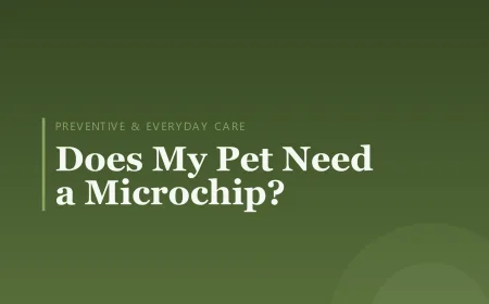 Does My Pet Need a Microchip?