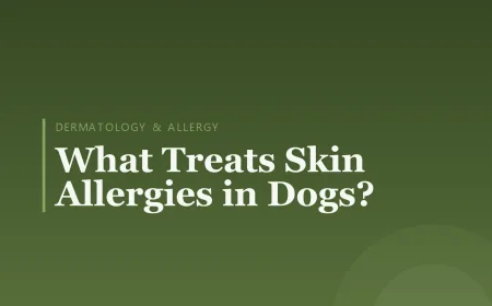 What Treats Skin Allergies in Dogs?