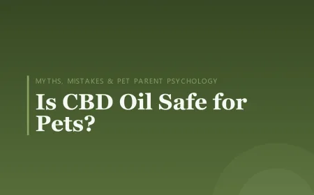 Is CBD Oil Safe for Pets?