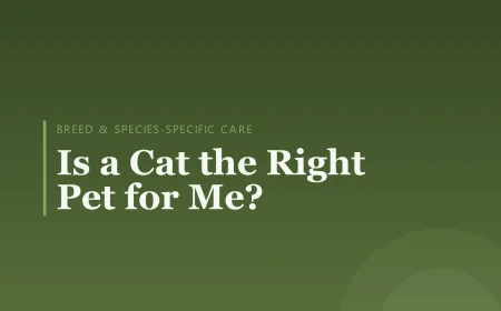 Is a Cat the Right Pet for Me?