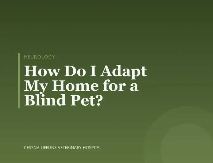 How Do I Adapt My Home for a Blind Pet?