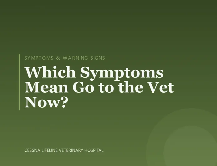 Which Symptoms Mean Go to the Vet Now?