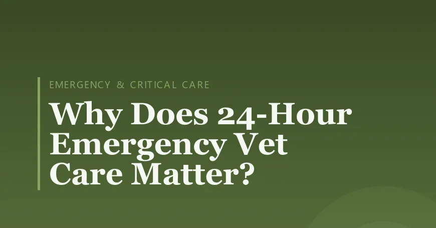 Why Does 24-Hour Emergency Vet Care Matter?