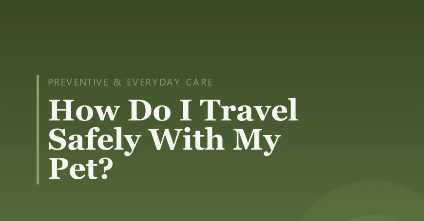 How Do I Travel Safely With My Pet?