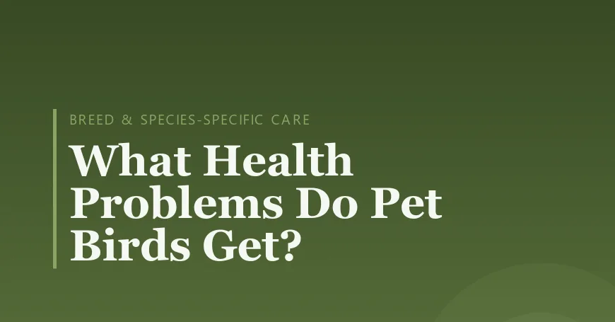 What Health Problems Do Pet Birds Get?