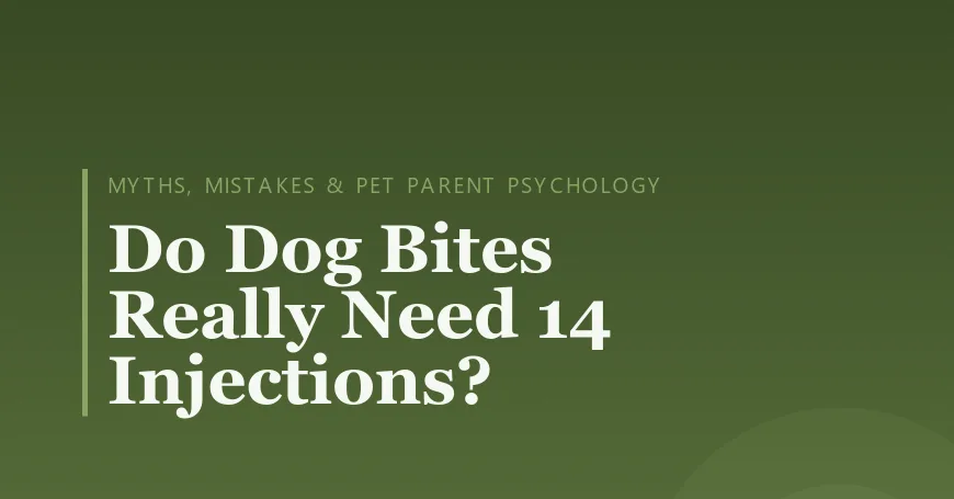 Do Dog Bites Really Need 14 Injections?