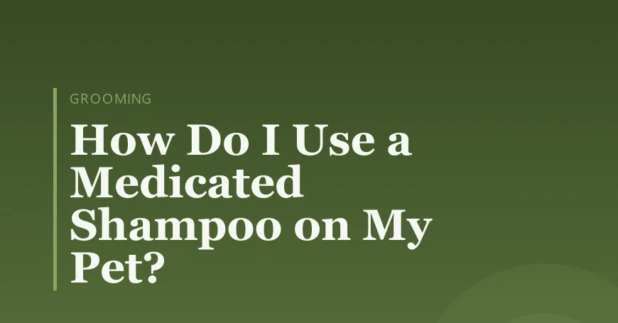 How Do I Use a Medicated Shampoo on My Pet?