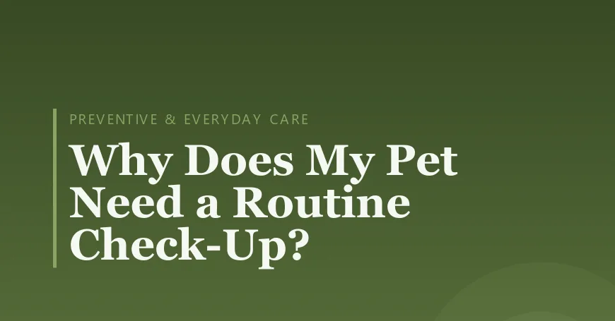Why Does My Pet Need a Routine Check-Up?