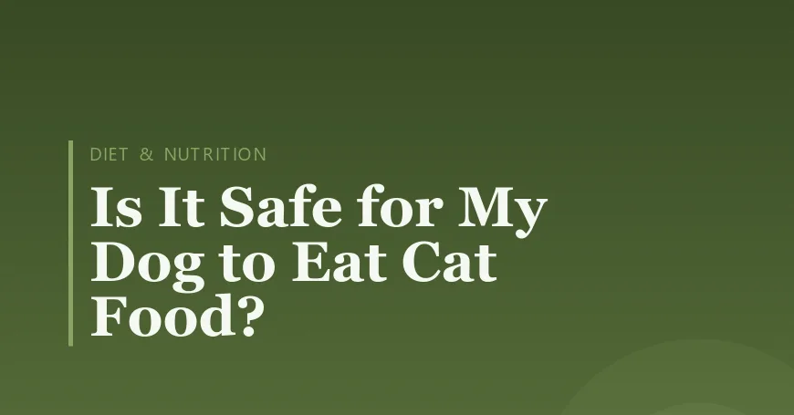 Is It Safe for My Dog to Eat Cat Food?