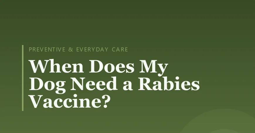 When Does My Dog Need a Rabies Vaccine?