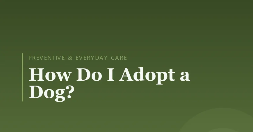 How Do I Adopt a Dog?