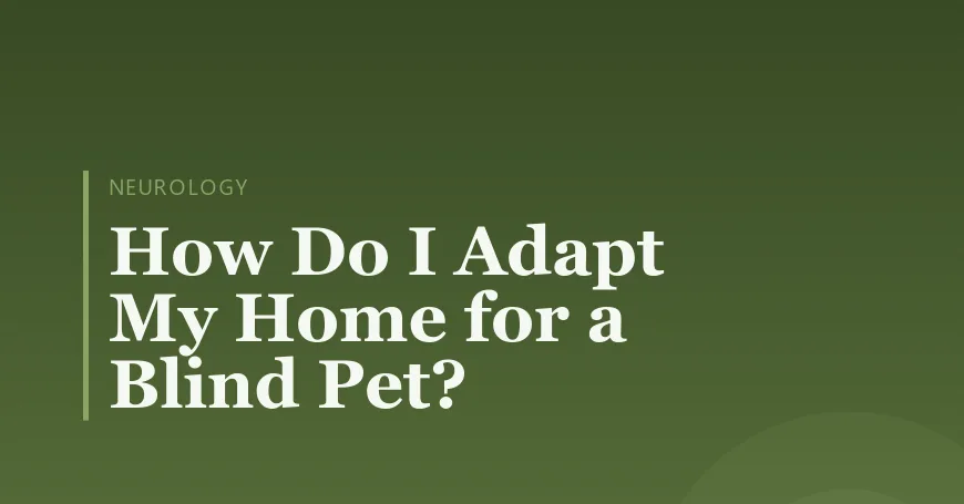 How Do I Adapt My Home for a Blind Pet?