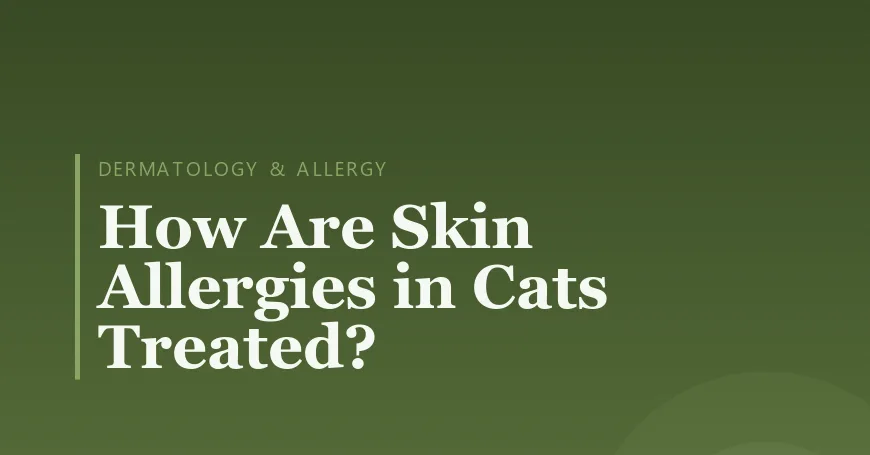 How Are Skin Allergies in Cats Treated?