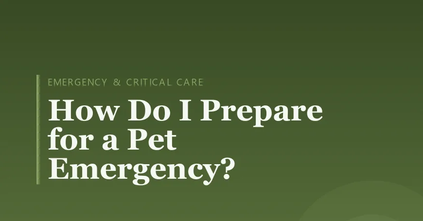 How Do I Prepare for a Pet Emergency?