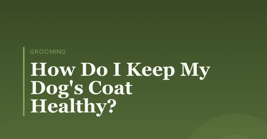 How Do I Keep My Dog's Coat Healthy?