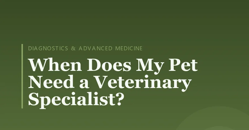 When Does My Pet Need a Veterinary Specialist?