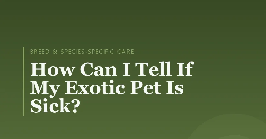 How Can I Tell If My Exotic Pet Is Sick?