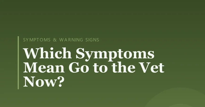 Which Symptoms Mean Go to the Vet Now?