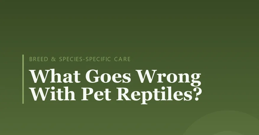 What Goes Wrong With Pet Reptiles?