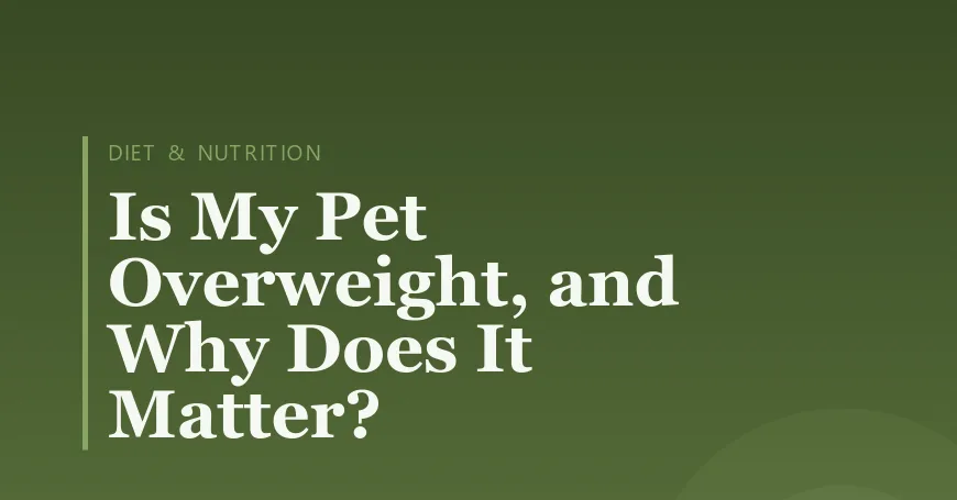 Is My Pet Overweight, and Why Does It Matter?