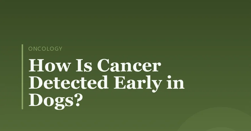 How Is Cancer Detected Early in Dogs?