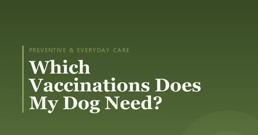 Which Vaccinations Does My Dog Need?