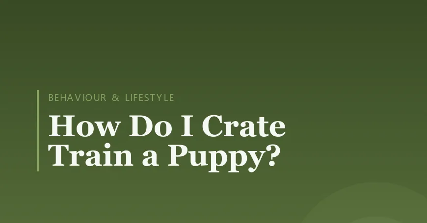 How Do I Crate Train a Puppy?
